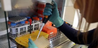 Malattie rare, nel 2021 ok Ema a 130 terapie, 122 disponibili in Italia