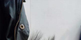 Recuperato e soccorso un raro esemplare di piccolo scoiattolo rosso