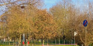 Al via a Pegognaga i lavori del vialetto diretto allo Sky fitness