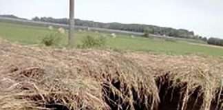 Siccità: già in funzione le pompe dal Po. Mai avviate così presto