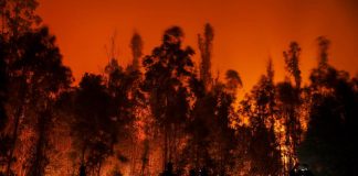 Cile, maxi incendi nei boschi: almeno 23 morti