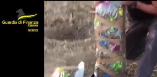 Sicilia, sequestrati 435 kg di droga e 11mila piante di marijuana