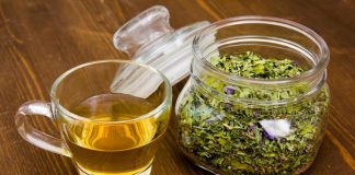 Sanremo 2023, ‘erba dei cantanti’, malva e zuppe per proteggere la voce