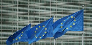 Nel Mantovano -30% di risorse Pac. Cortesi (Confagricoltura): “Riforma penalizzante”