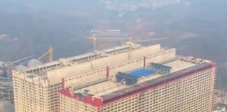 Cina, maiali allevati in grattacielo. Burioni: “Paradiso per virus” – Video