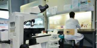 Sanità, ricercatori precari anche per 39 anni: l’indagine