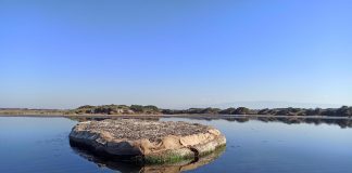 Ambiente, inizia a popolarsi l’isolotto fatto di gusci di cozze nel Golfo di Oristano