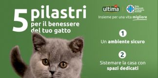Ultima Petfood ed Enpa insieme in un progetto per gatti e cani