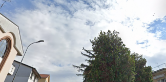 Intervento alla rete acqua e gas in via Tamassia. Lavori dal 20 marzo al 28 aprile