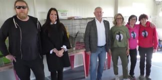 A Buscoldo un concerto con raccolta fondi per sostenere Gattorandagio