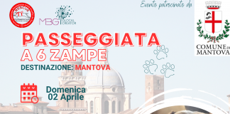 Domenica in città la “Passeggiata a 6 zampe”