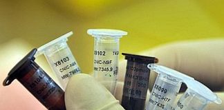 Aviaria, un caso umano di H5N1 in Cina