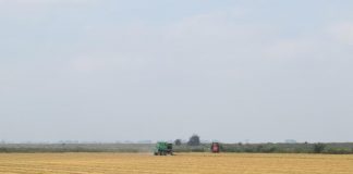 Anticipi Pac, in arrivo 10 milioni di euro per le aziende di Coldiretti Mantova