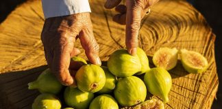 Al via Cilento Tastes, appuntamento con gli artigiani del gusto