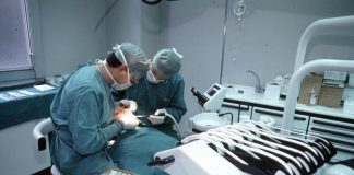 Farmaci antifrattura non causano danni alla bocca, prime linee guida dentisti