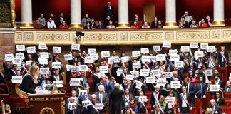 Francia, riforma pensioni: cosa può fare ancora l’opposizione