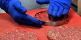 Stop a carne e cibi sintetici, in arrivo multe salate: bozza decreto