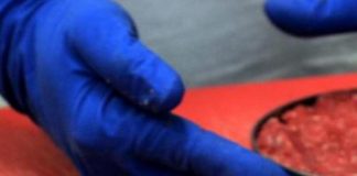 Alimenti: Ue, no richieste commercializzazione carne coltivata in laboratorio