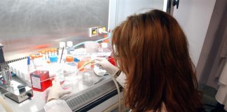 La legge 40 sulla fecondazione assistita tornerà alla Consulta. Ecco perché