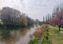Goito, incarico agronomico per la riqualificazione del Lungo Mincio