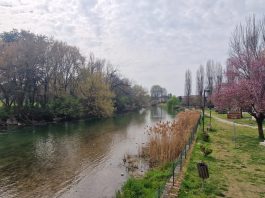 Goito, incarico agronomico per la riqualificazione del Lungo Mincio