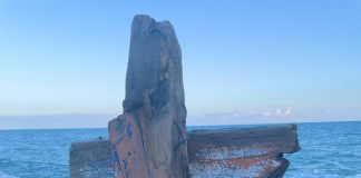 Superstiti in aula: “Salvi solo grazie a un legno”