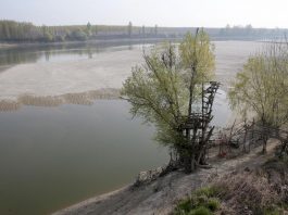 Agricoltura: il caldo costa 1,5 miliardi, Cia chiede un piano idrico nazionale