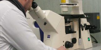 Da un anti-Parkinson speranza contro l’Alzheimer