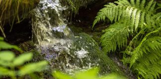 Sanpellegrino, in 5 anni risparmiati 295 mln litri di acqua nei processi produttivi