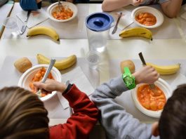 Mantova blocca i rincari delle mense scolastiche: nessun aumento per il 2026/2027