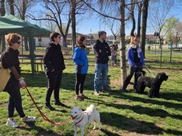 Mottella, taglio del nastro per il nuovo sgambatoio con attrezzi per la mobility dog