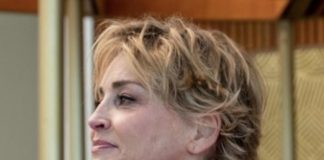 Sharon Stone: “Persi la custodia di mio figlio per Basic Instinct”