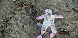 Naufragio Crotone, trovato corpo di un altro bimbo: morti salgono a 71