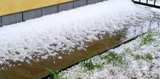 Temporale con forte vento nel Mantovano: a Castellucchio grossi rami caduti. Grandine a Cavriana e a Guidizzolo