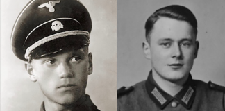 “Nessuna divisa nazista nella Colonna della Libertà”. E a Felonica si inaugura il monumento all’Aviazione Brasiliana