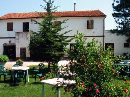 Turismo rurale e ospitalità, torna il corso per operatori agrituristici
