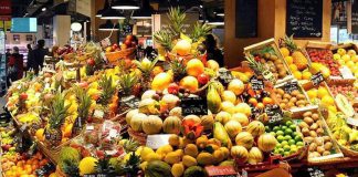 Agroalimentare, Ismea: “Export vola sempre più lontano in media 3mila km, +8% in 10 anni”