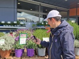 Con il Qr code l’etichetta svela caratteristiche e cura delle piante