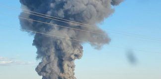 Esplode fattoria in Texas, morte 18mila mucche – Video