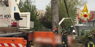 Cede cestello mentre potano albero in un golf club, 2 morti e 1 ferito nel milanese