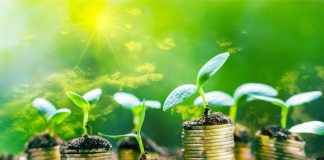 Imq eAmbiente accompagna Altromercato in progettazione Bilancio sociale