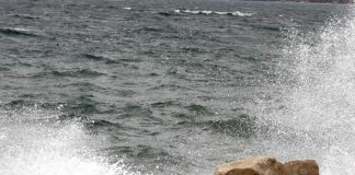 Giornata del Mare nelle Scuole, Confindustria Nautica agli studenti: “Grande opportunità per il futuro”