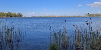 Tutela e conservazione della biodiversità del Parco del Mincio: al via opere per oltre 500mila euro