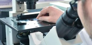Tumori, nuova molecola blocca crescita cellule malate