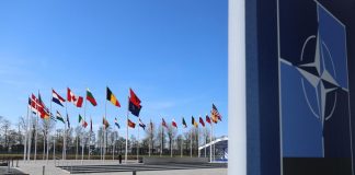 Finlandia nella Nato, Stoltenberg: “Giorno storico, ora siamo più forti”