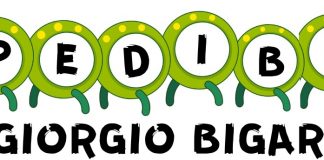 In partenza un nuovo servizio Pedibus a San Giorgio Bigarello