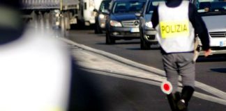 Napoli, cavallo al galoppo in Tangenziale