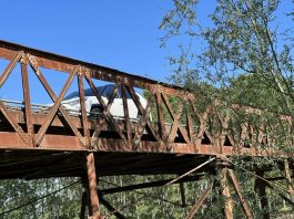 Ponte Acquanegra-Calvatone, il 18 giugno incontro con l’Esercito. Arrivano ristori per attività colpite dalla chiusura