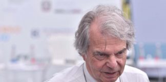 Cnel, Cdm nomina Brunetta presidente