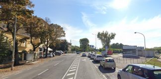 Sottopasso, Palazzi annuncia il “salvataggio” degli alberi di via Luzio. Tempistiche si allungano